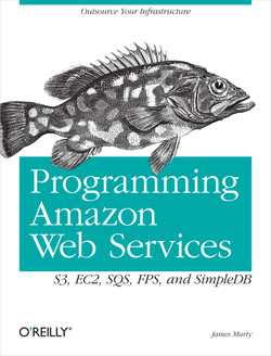 Programming Amazon Web Services: S3, EC2, SQS, FPS, and SimpleDB